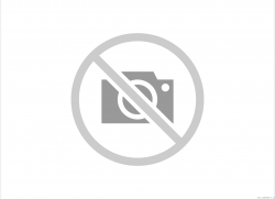 Gum pasta 250g bílá