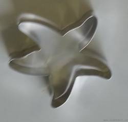 Vykrajovátko mořská hvězdice