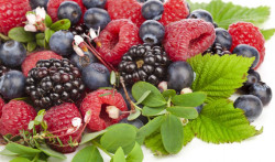 Ochucovací pasta Lesní plody (200 g)