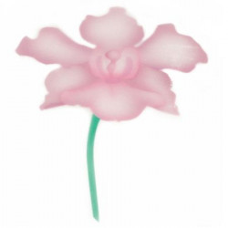 Stencil pro airbrush orchidej