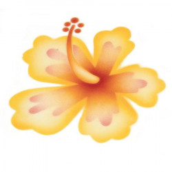 Stencil pro airbrush ibišek