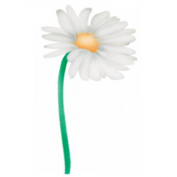 Stencil pro airbrush kopretina