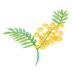 Stencil pro airbrush Mimóza větvička