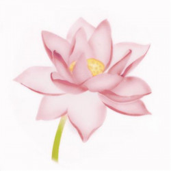 Stencil pro airbrush lotus