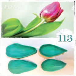 Silikonová forma žilkovač