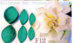 Silikonová forma žilkovač