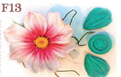 Silikonová forma žilkovač