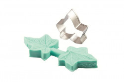 Žilkovač a vykrajovátko list břečťanu