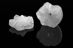 Žilkovač list Foglia 86x82mm