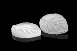 Žilkovač list Foglia 90x37mm