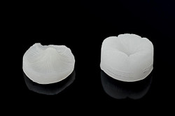 Žilkovač list Foglia 65x40mm