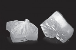 Žilkovač list Foglia 77x55mm