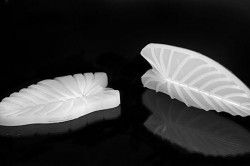 Žilkovač list Foglia 160x80mm