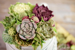 Silikonová forma na sukulenty FL06219