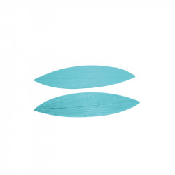 Žilkovač list 21x5cm