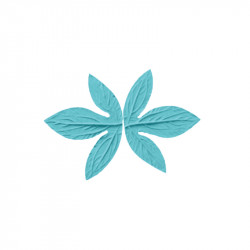 Žilkovač list 12x9cm