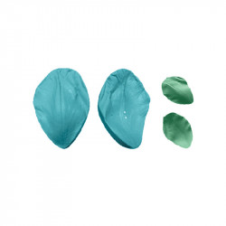 Žilkovač okvětní plátek 5x3cm