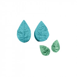 Žilkovač list 2x4cm