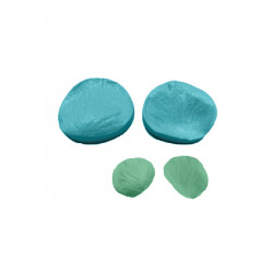 Žilkovač okvětní plátek 3x3cm