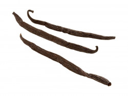 Vanilkový lusk Tahitian 1kus, 15 cm