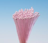 Pestíky růžové svazek