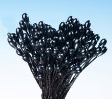 Pestíky perleťové černé svazek