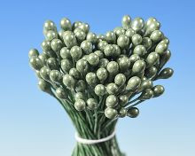 Pestíky perleťové zelené svazek