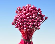 Pestíky perleťové červené svazek