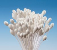 Pestíky bílé svazek