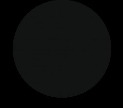 Prachová barva 5g natural black