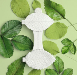 Žilkovač list růže 7cm