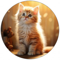 Jedlý papír kotě zrzavé 19,5cm