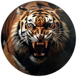 Jedlý papír tygr 19,5cm