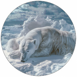 Jedlý papír lední mědvěd ležící 19,5 cm