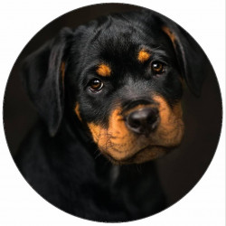 Jedlý papír spící štěně 19,5 cm