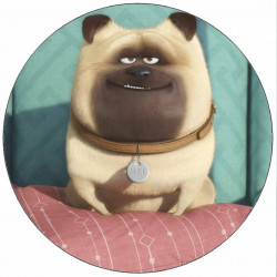 Jedlý papír Tajný život mazlíčků Mel 19,5 cm