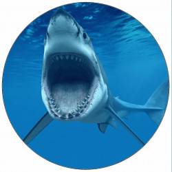 Jedlý papír žralok s otevřenou tlamou 19,5 cm