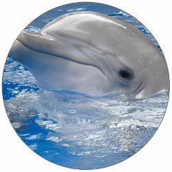 Jedlý papír delfín s hlavou nad hladinou 19,5 cm