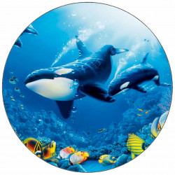 Jedlý papír kosatky 19,5 cm