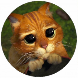 Jedlý papír Shrek kocour 19,5 cm