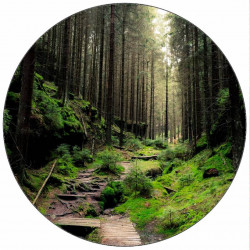 Jedlý papír lesní stezka 19,5 cm