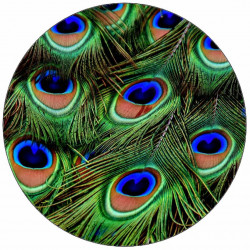 Jedlý papír paví oka 19,5 cm