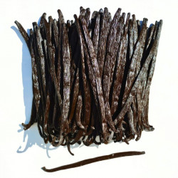 Exkluzivní vanilkový lusk z Ugandy 250g