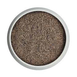 Vanilková sůl 500g