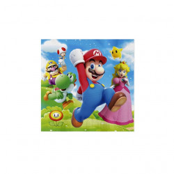 Papírové ubrousky 33x33cm 10ks Mario