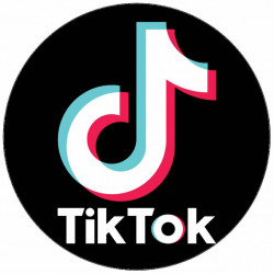 Jedlý papír TikTok 19,5cm