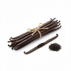 Vanilkový lusk Bourbon – Gourmet 10ks / Grade A (16 cm +) - Vanilla Ocean