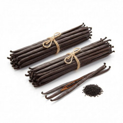 Vanilkový lusk Bourbon – Gourmet  100g / Grade A (16 cm +) cca 30ks - Vanilla Ocean